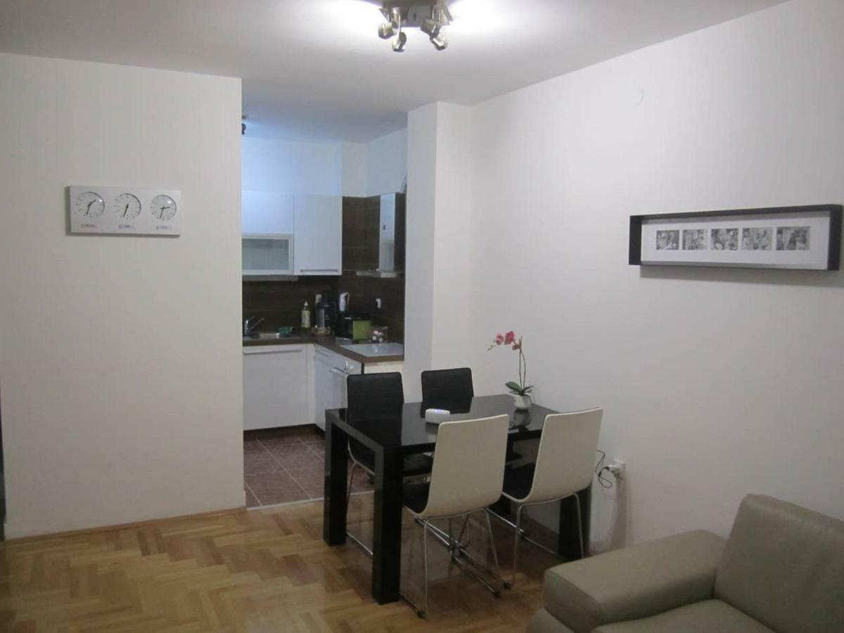 65 Square Meters Designer Apartment In Heart Of City - River View ! Park For Free Nis Luaran gambar
